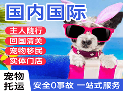 重庆仙女山航空托运国际宠物托运 【国